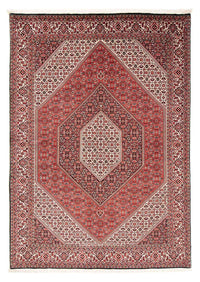 ビジャー 絨毯 251x170cm - ペルシャ絨毯 – product image
