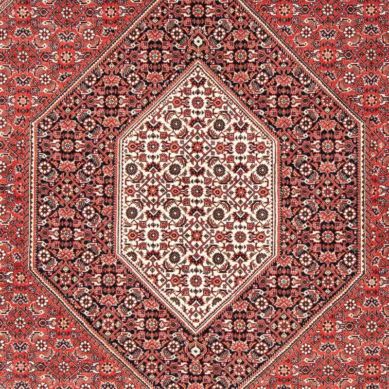 ビジャー 絨毯 251x170cm - ペルシャ絨毯