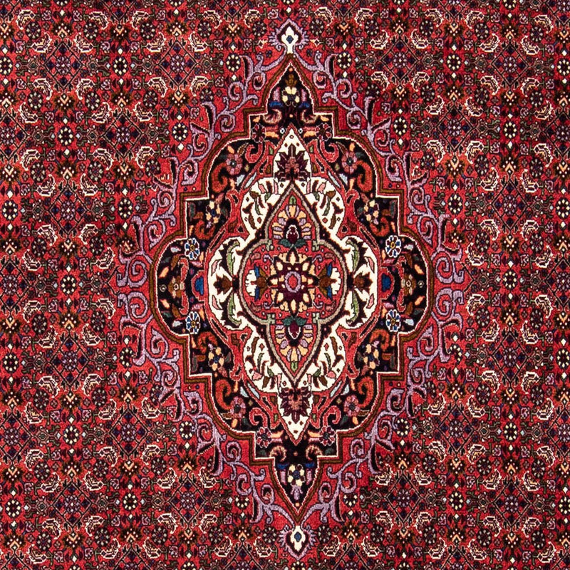 ビジャー 絨毯 241x172cm - ペルシャ絨毯