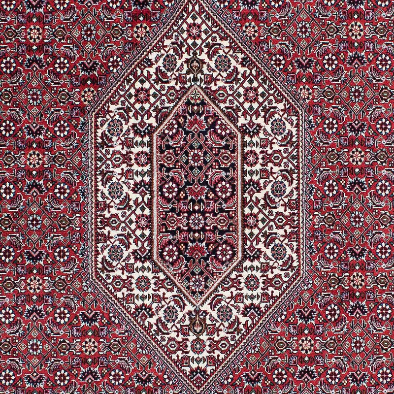 ビジャー 絨毯 228x132cm - ペルシャ絨毯