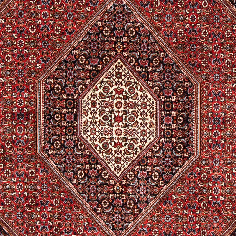 ビジャー 絨毯 246x170cm - ペルシャ絨毯