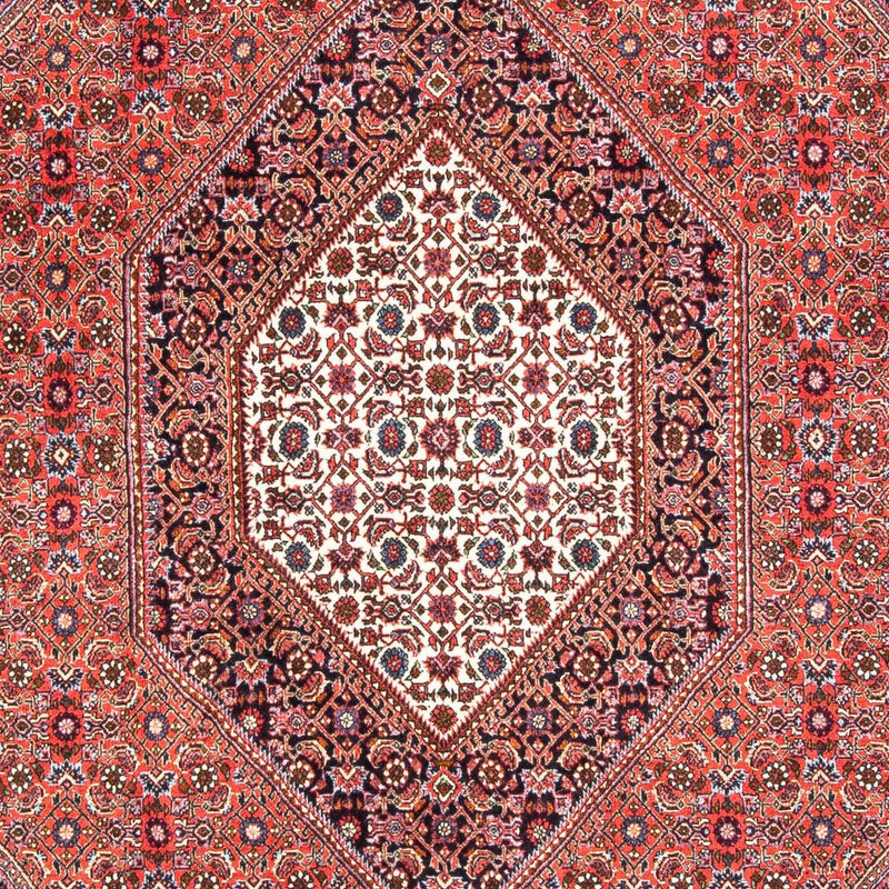 ビジャー 絨毯 230x168cm - ペルシャ絨毯