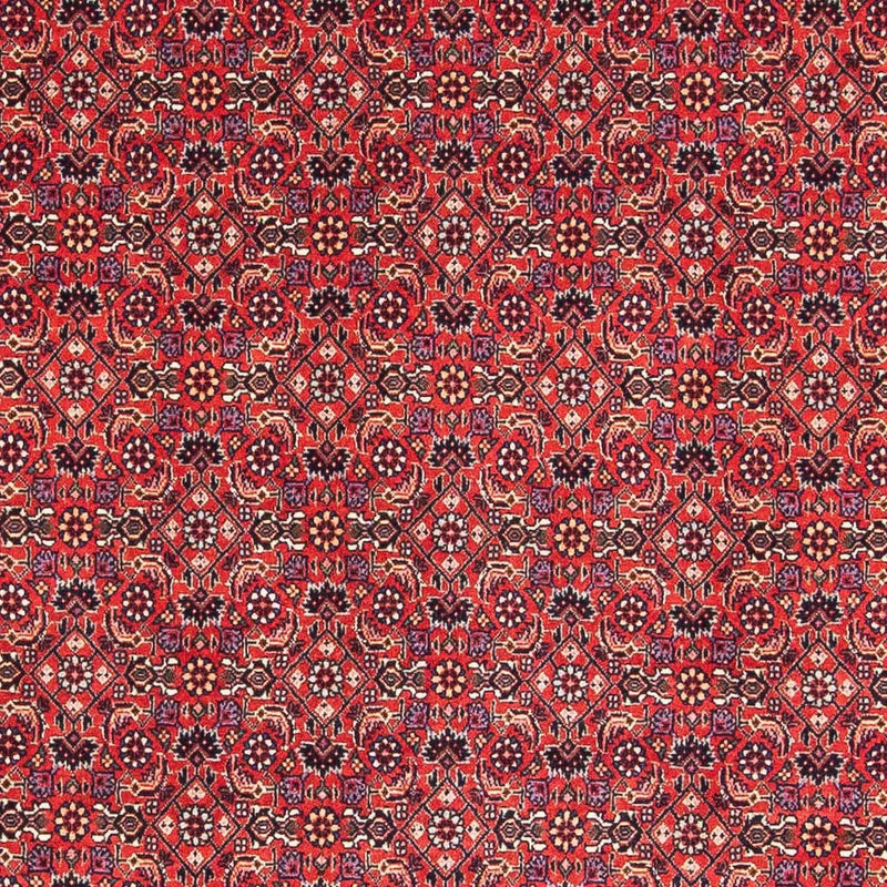 ビジャー 絨毯 126x124cm - ペルシャ絨毯