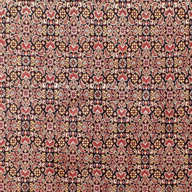 ビジャー 絨毯 252x173cm - ペルシャ絨毯