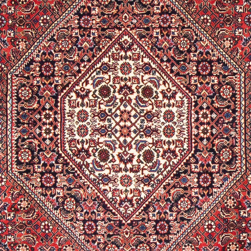 ビジャー 絨毯 170x110cm - ペルシャ絨毯