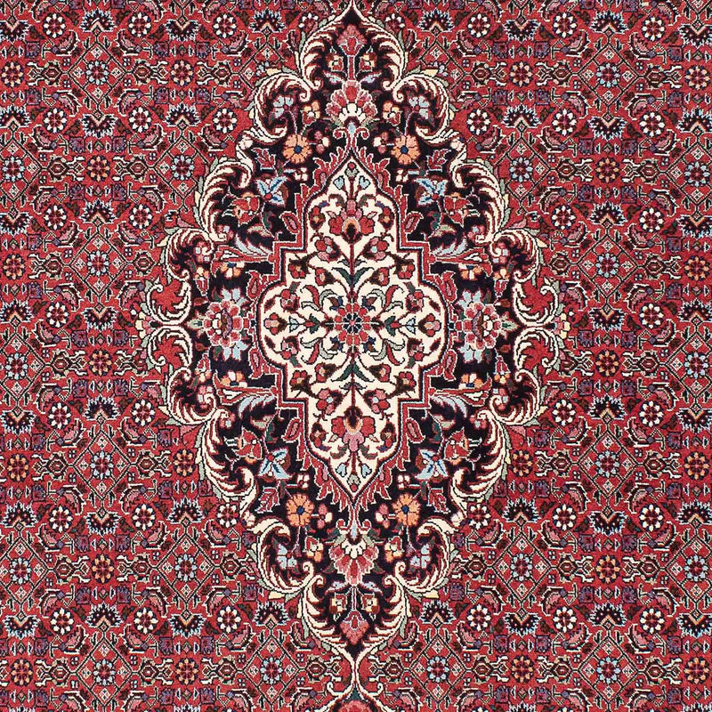ビジャー 絨毯 220x153cm - ペルシャ絨毯