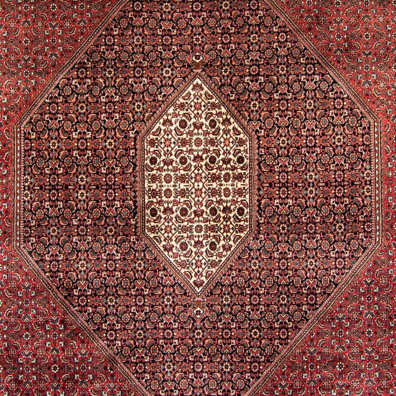 ビジャー 絨毯 382x249cm - ペルシャ絨毯
