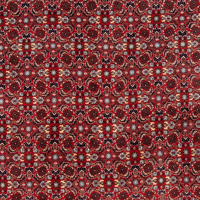 ビジャー 絨毯 251x175cm - ペルシャ絨毯
