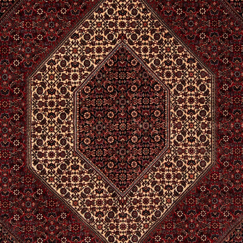 ビジャー 絨毯 255x202cm - ペルシャ絨毯