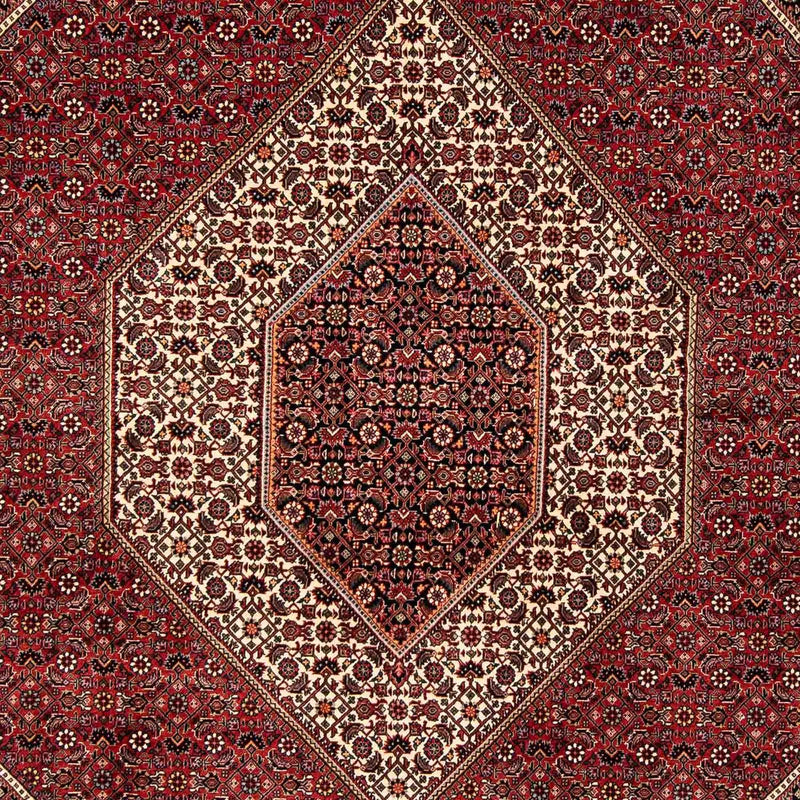 ビジャー 絨毯 252x205cm - ペルシャ絨毯
