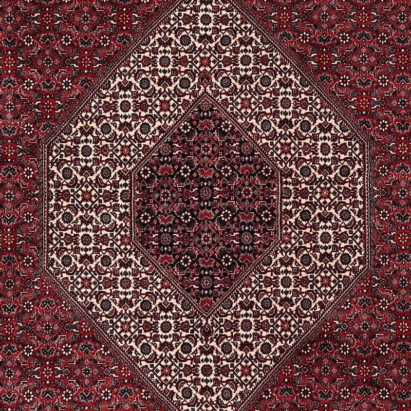 ビジャー 絨毯 252x203cm - ペルシャ絨毯