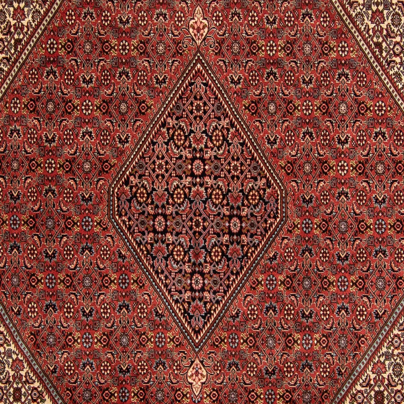 ビジャー 絨毯 343x250cm - ペルシャ絨毯