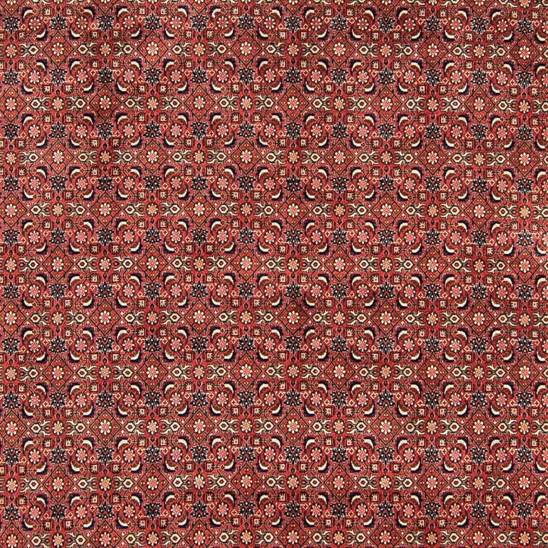 ビジャー 絨毯 316x252cm - ペルシャ絨毯