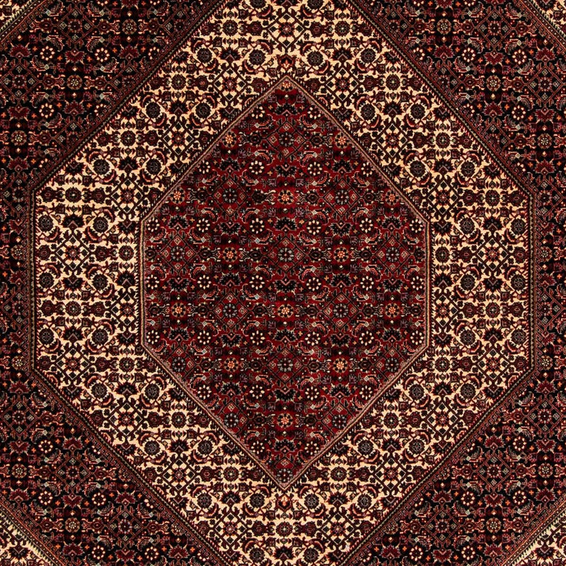 ビジャー 絨毯 262x203cm - ペルシャ絨毯