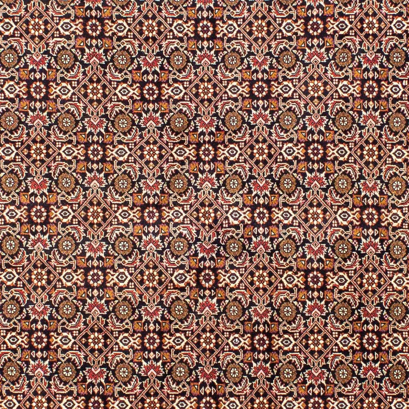 ビジャー 絨毯 243x171cm - ペルシャ絨毯