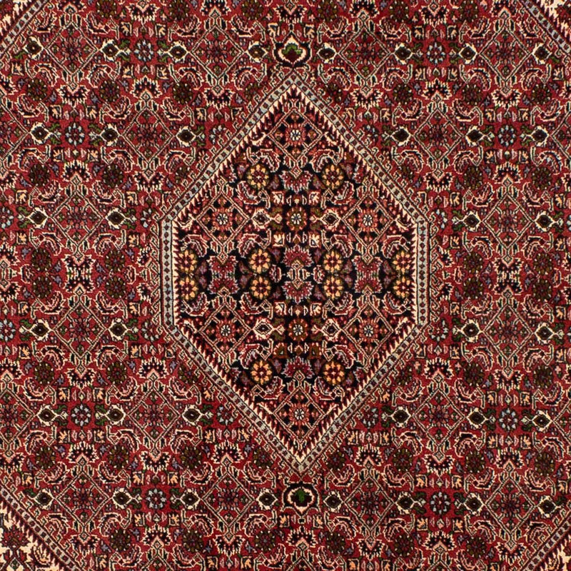 ビジャー 絨毯 251x173cm - ペルシャ絨毯