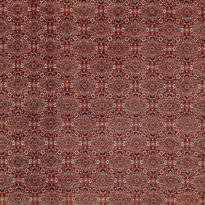 ビジャー 絨毯 300x206cm - ペルシャ絨毯
