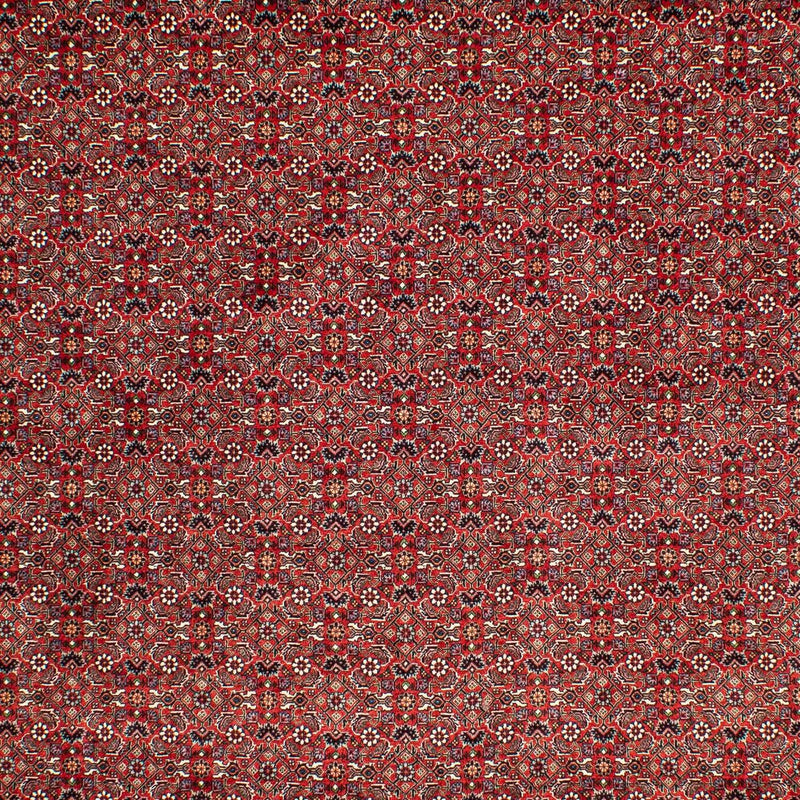 ビジャー 絨毯 302x210cm - ペルシャ絨毯