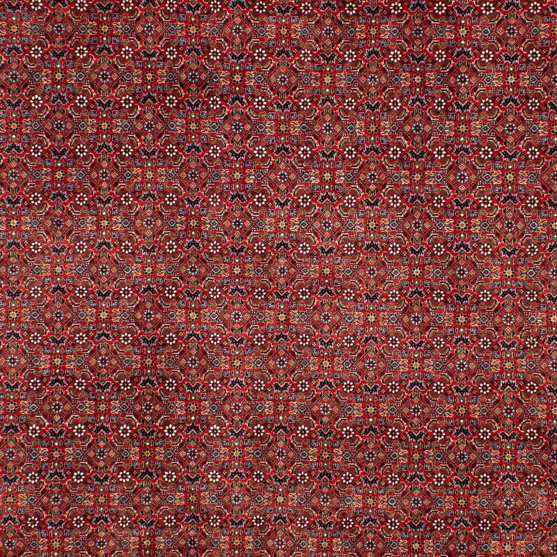 ビジャー 絨毯 298x205cm - ペルシャ絨毯