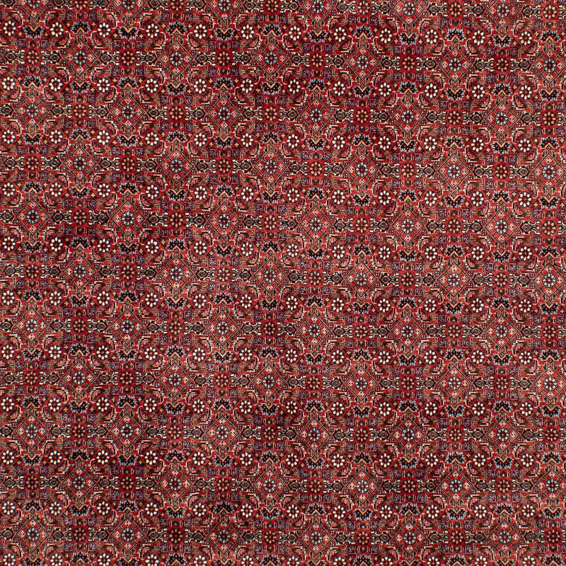 ビジャー 絨毯 299x202cm - ペルシャ絨毯