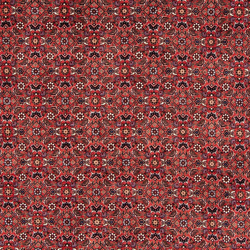 ビジャー 絨毯 243x173cm - ペルシャ絨毯
