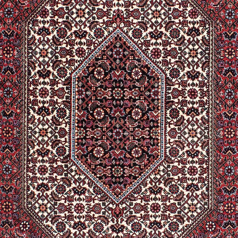 ビジャー 絨毯 220x134cm - ペルシャ絨毯