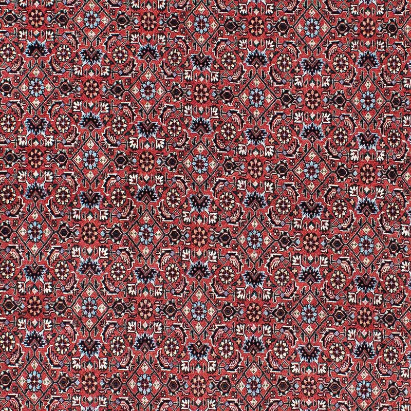 ビジャー 絨毯 213x133cm - ペルシャ絨毯
