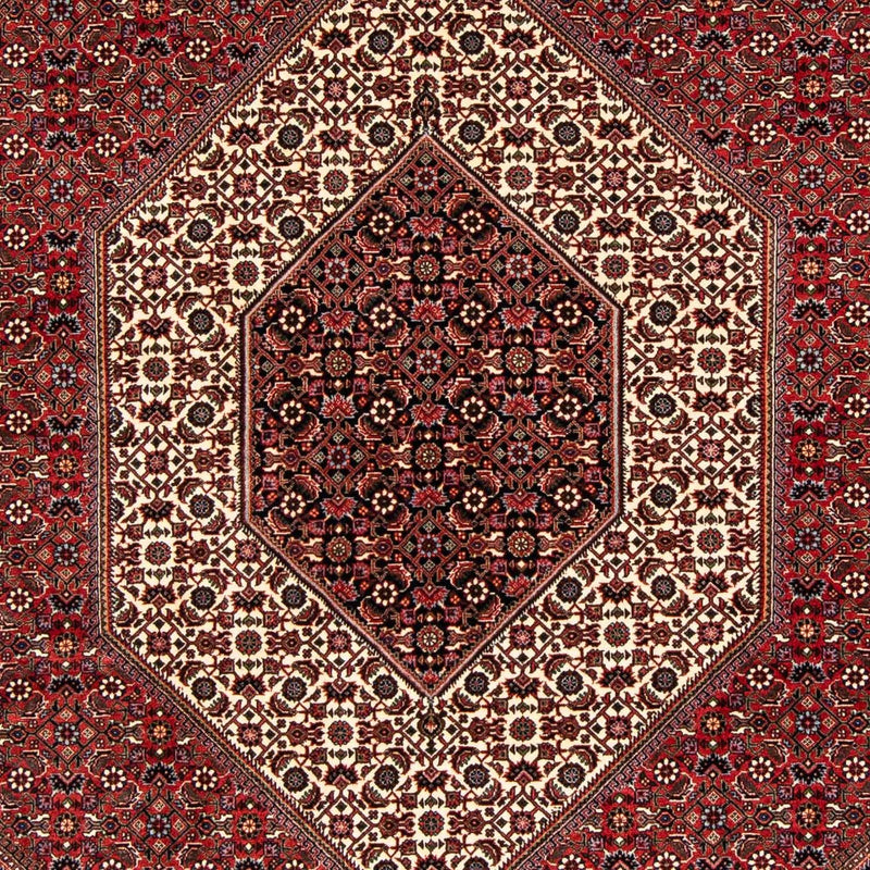 ビジャー 絨毯 238x175cm - ペルシャ絨毯