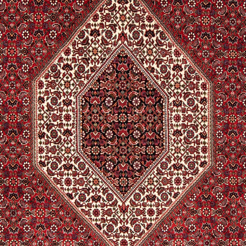ビジャー 絨毯 246x170cm - ペルシャ絨毯
