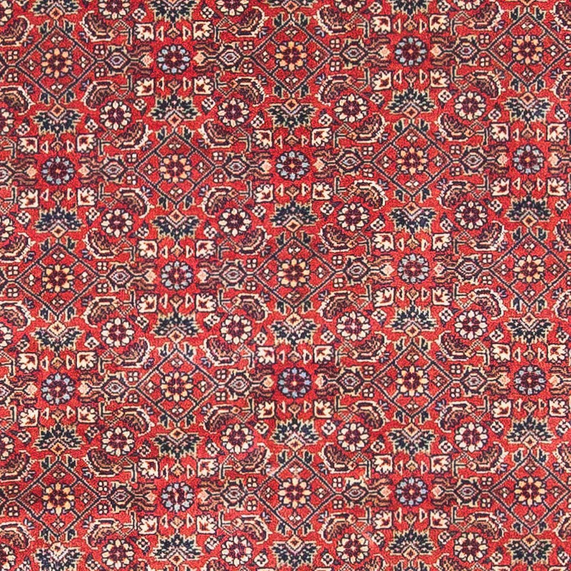 ビジャー 絨毯 162x89cm - ペルシャ絨毯
