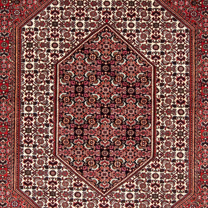 ビジャー 絨毯 255x153cm - ペルシャ絨毯