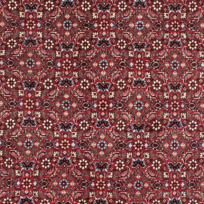 ビジャー 絨毯 155x155cm - ペルシャ絨毯