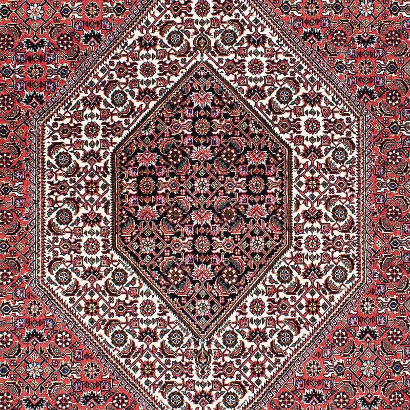 ビジャー 絨毯 210x136cm - ペルシャ絨毯