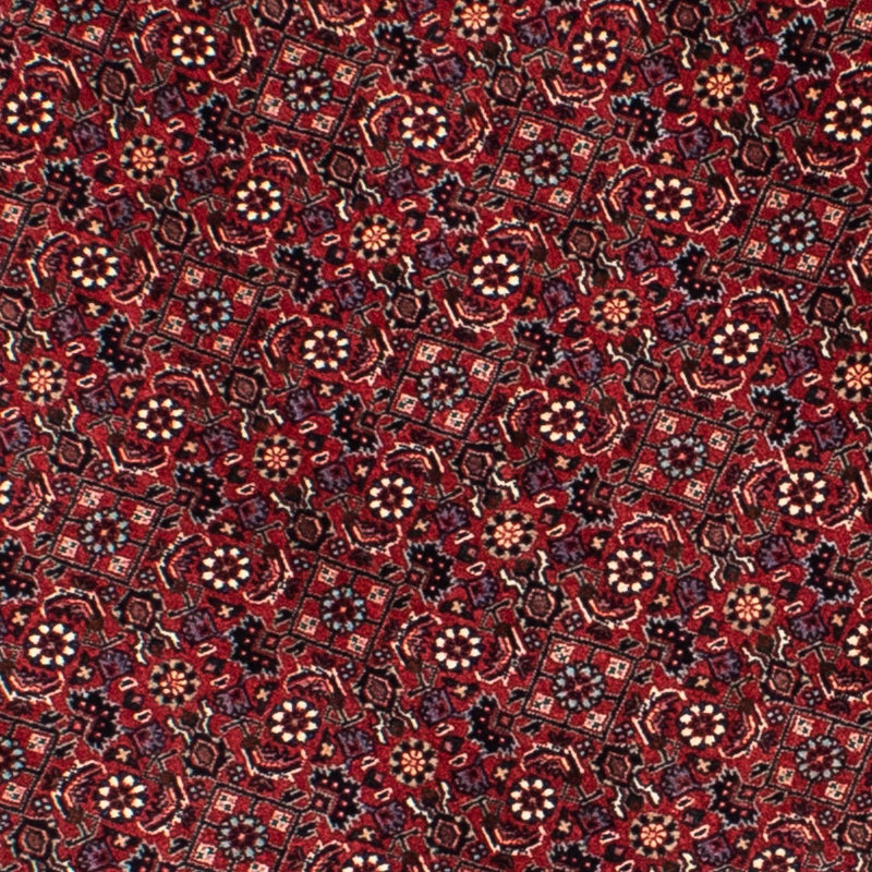 ビジャー 絨毯 155x155cm - ペルシャ絨毯