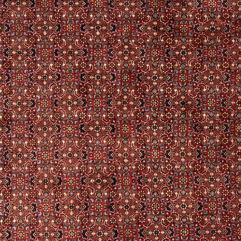 ビジャー 絨毯 250x250cm - ペルシャ絨毯