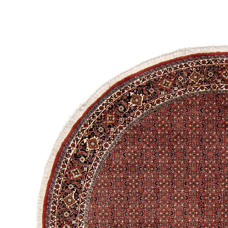 ビジャー 絨毯 250x250cm - ペルシャ絨毯