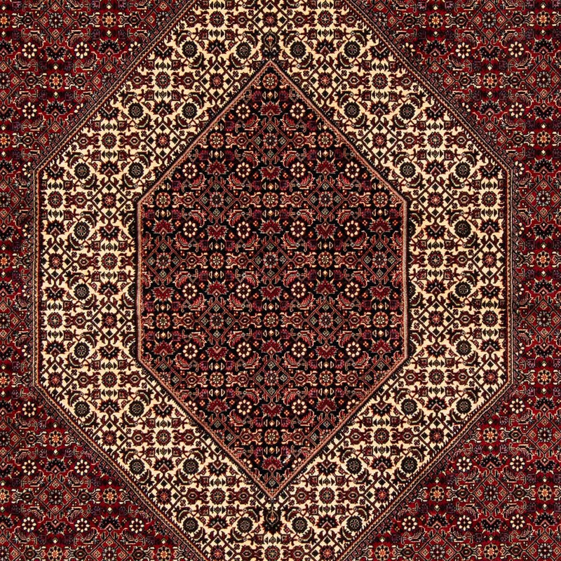 ビジャー 絨毯 254x205cm - ペルシャ絨毯