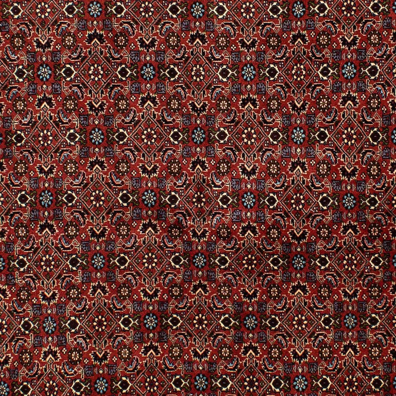 ビジャー 絨毯 246x172cm - ペルシャ絨毯