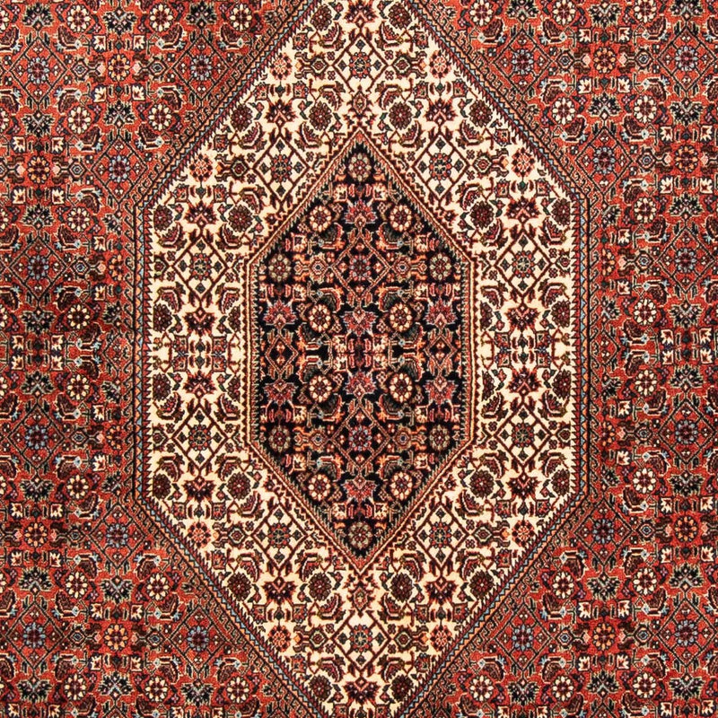 ビジャー 絨毯 252x150cm - ペルシャ絨毯
