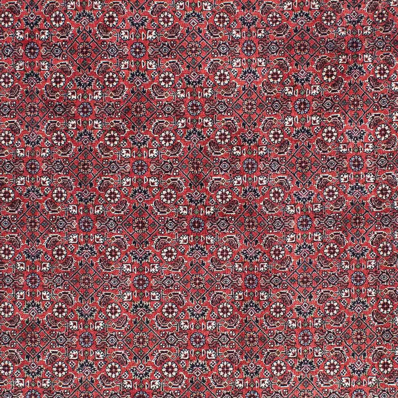 ビジャー 絨毯 204x129cm - ペルシャ絨毯