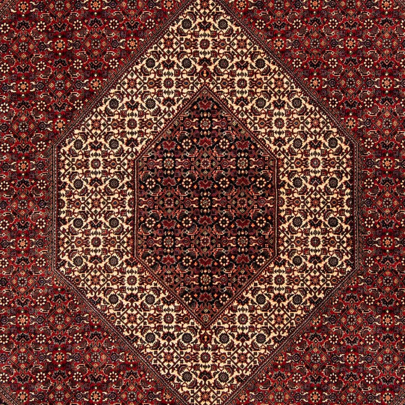 ビジャー 絨毯 254x204cm - ペルシャ絨毯