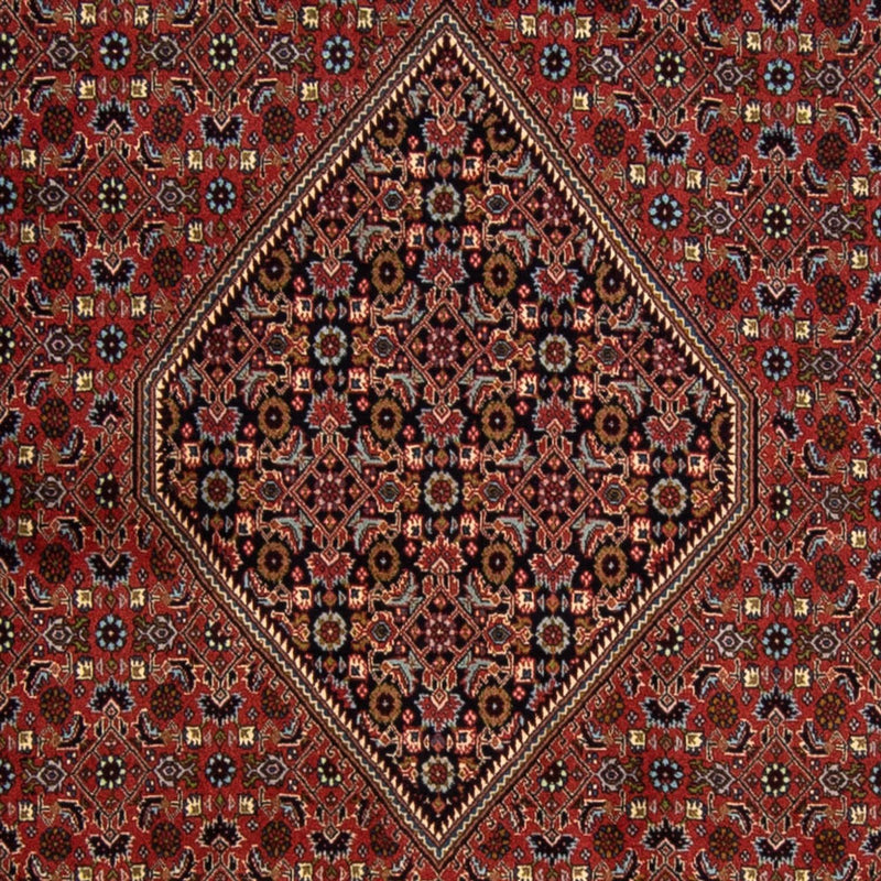 ビジャー 絨毯 337x250cm - ペルシャ絨毯