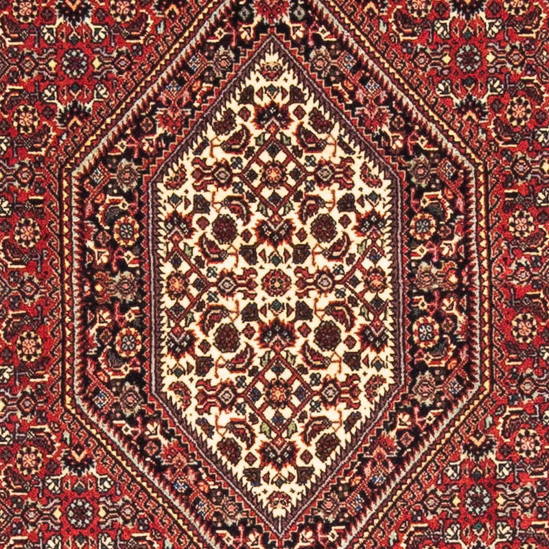 ビジャー 絨毯 153x89cm - ペルシャ絨毯