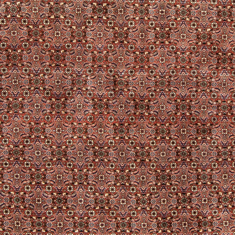 ビジャー 絨毯 235x167cm - ペルシャ絨毯