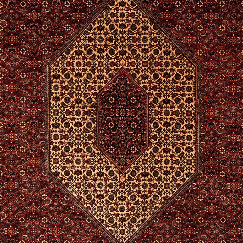 ビジャー 絨毯 255x205cm - ペルシャ絨毯