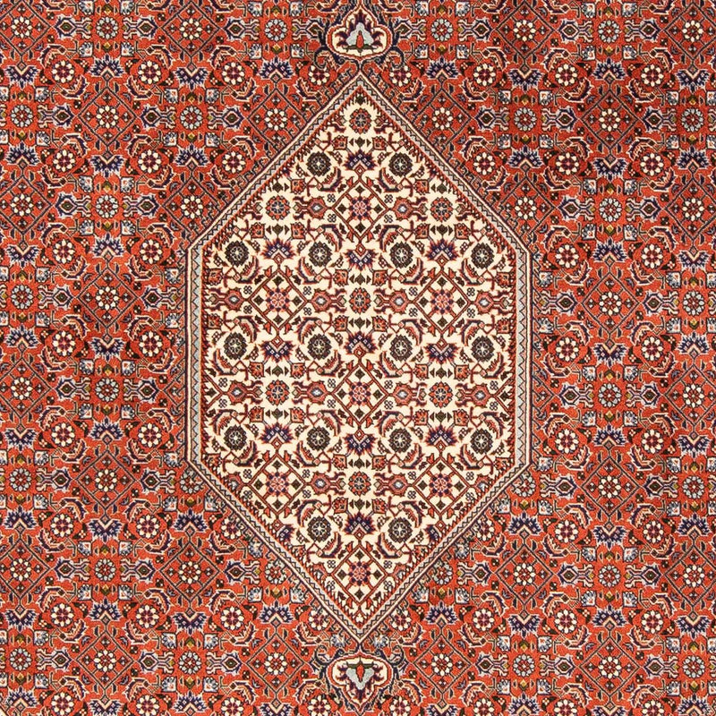 ビジャー 絨毯 245x167cm - ペルシャ絨毯