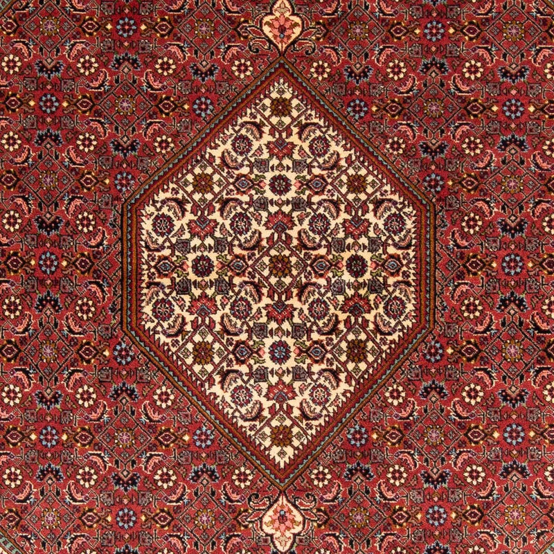 ビジャー 絨毯 242x171cm - ペルシャ絨毯