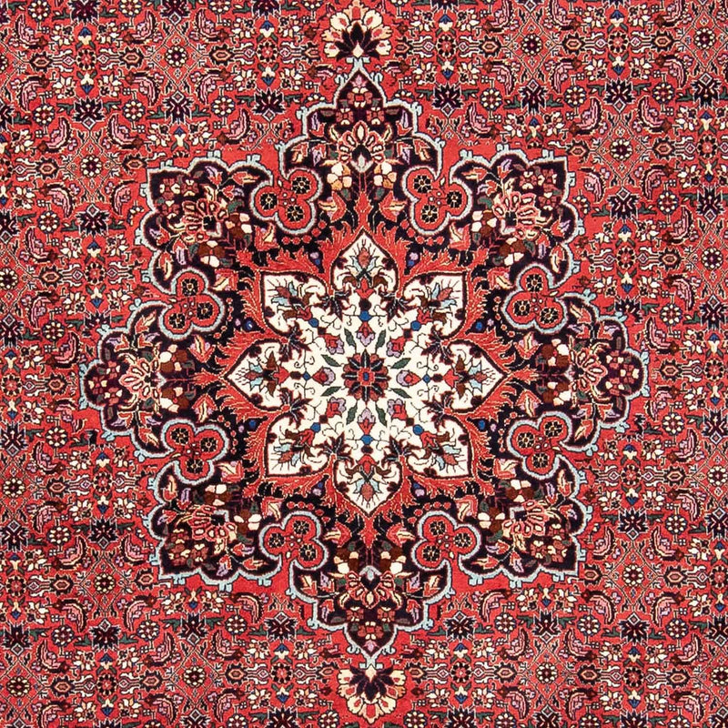 ビジャー 絨毯 240x170cm - ペルシャ絨毯