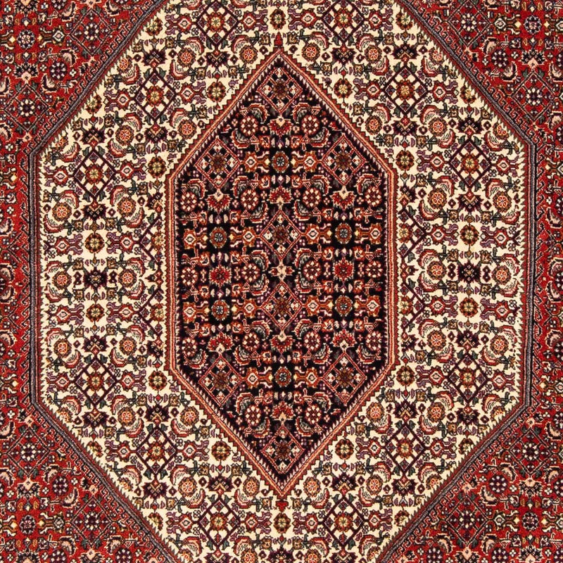 ビジャー 絨毯 244x153cm - ペルシャ絨毯