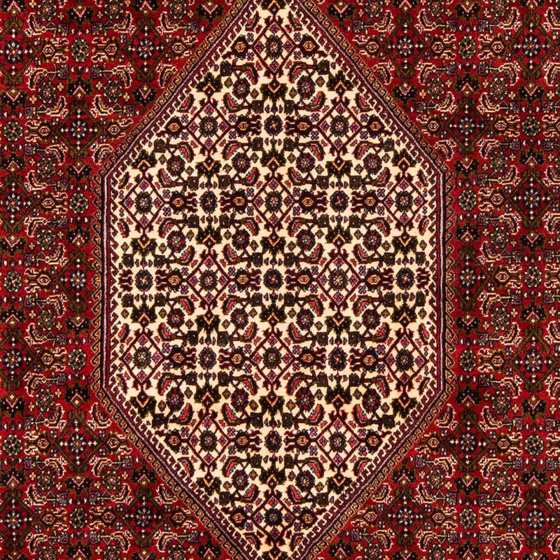ビジャー 絨毯 263x164cm - ペルシャ絨毯